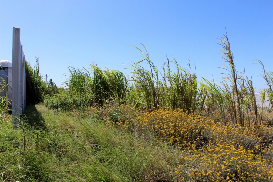 0 Bedroom Property for Sale in Emerald Heights Eastern Cape